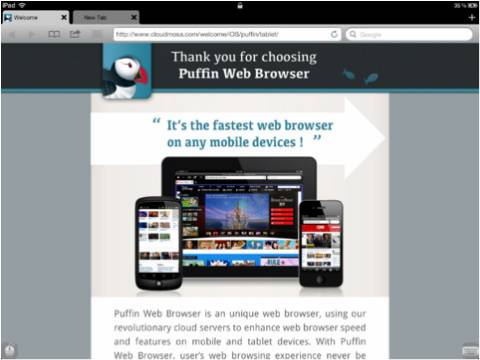 Features – Flash Browser