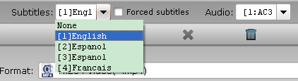 Subtitles