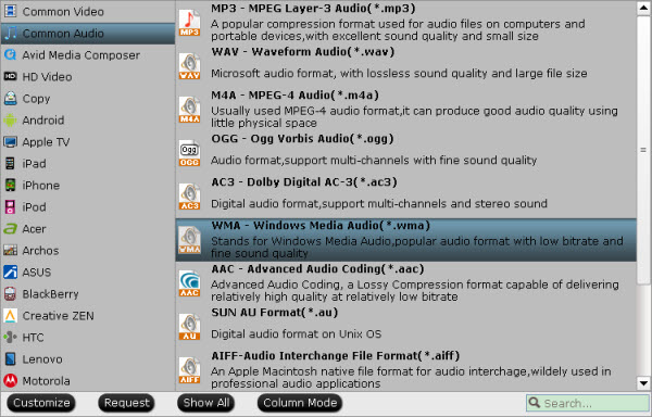 Audio formats