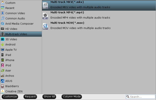 windows media player mkv audio track