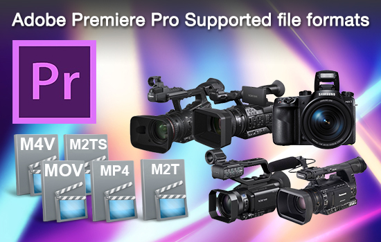 pro video formats 2.0 download