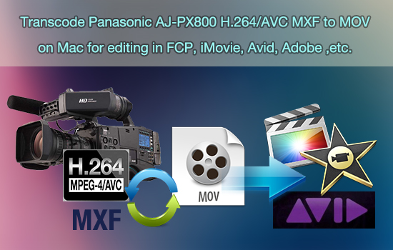 panasonic-aj-px800-mxf-to-mov.jpg