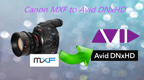 canon-mxf-to-avid.gif