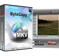 pavtube bytecopy vs. dvd audio extractor