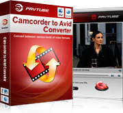 Camcorder to Avid Converter