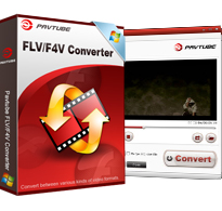 FLV/F4V Converter