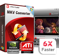 MKV Converter